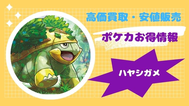【最新!】ハヤシガメの買取価格と販売値段はいくら?高騰・高額の理由も丸わかり【ポケカ】
